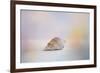 Beach Memories 2-Jai Johnson-Framed Giclee Print