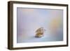 Beach Memories 4-Jai Johnson-Framed Giclee Print