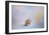 Beach Memories 4-Jai Johnson-Framed Giclee Print