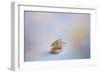 Beach Memories 4-Jai Johnson-Framed Giclee Print