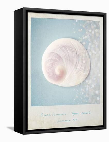 Beach Memories Moon Snail-Susannah Tucker-Framed Stretched Canvas