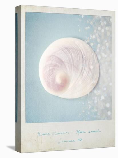 Beach Memories Moon Snail-Susannah Tucker-Stretched Canvas