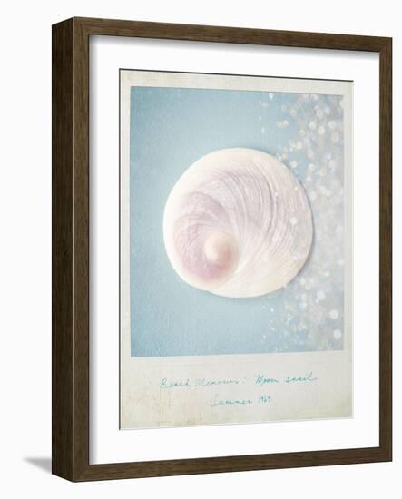 Beach Memories Moon Snail-Susannah Tucker-Framed Art Print