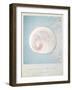 Beach Memories Moon Snail-Susannah Tucker-Framed Art Print