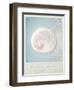 Beach Memories Moon Snail-Susannah Tucker-Framed Art Print