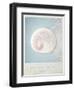 Beach Memories Moon Snail-Susannah Tucker-Framed Art Print