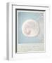 Beach Memories Moon Snail-Susannah Tucker-Framed Art Print