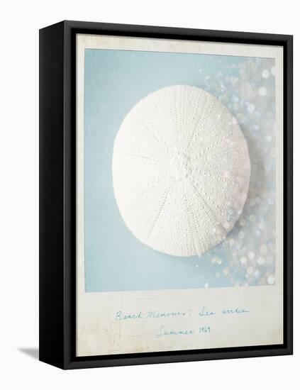 Beach Memories Sea Urchin-Susannah Tucker-Framed Stretched Canvas