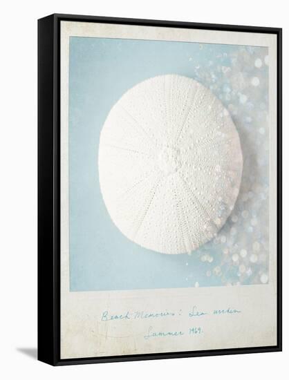 Beach Memories Sea Urchin-Susannah Tucker-Framed Stretched Canvas