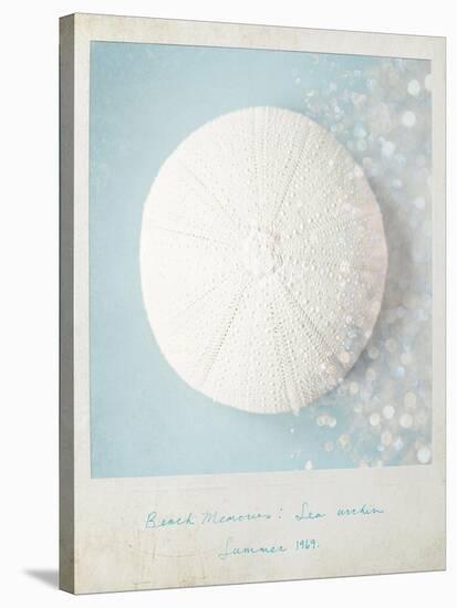 Beach Memories Sea Urchin-Susannah Tucker-Stretched Canvas