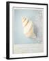 Beach Memories Small Conch-Susannah Tucker-Framed Art Print