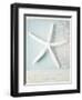 Beach Memories Starfish-Susannah Tucker-Framed Art Print