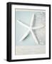 Beach Memories Starfish-Susannah Tucker-Framed Art Print