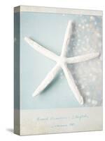 Beach Memories Starfish-Susannah Tucker-Stretched Canvas