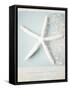 Beach Memories Starfish-Susannah Tucker-Framed Stretched Canvas