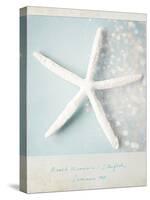 Beach Memories Starfish-Susannah Tucker-Stretched Canvas