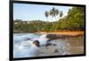 Beach, Mirissa, South Coast, Sri Lanka-Peter Adams-Framed Photographic Print