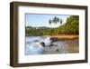 Beach, Mirissa, South Coast, Sri Lanka-Peter Adams-Framed Photographic Print