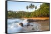 Beach, Mirissa, South Coast, Sri Lanka-Peter Adams-Framed Stretched Canvas