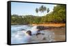 Beach, Mirissa, South Coast, Sri Lanka-Peter Adams-Framed Stretched Canvas