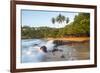 Beach, Mirissa, South Coast, Sri Lanka-Peter Adams-Framed Photographic Print