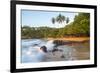 Beach, Mirissa, South Coast, Sri Lanka-Peter Adams-Framed Photographic Print