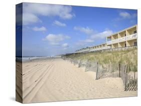 Beach, Montauk, Long Island, New York, United States of America, North America-Wendy Connett-Stretched Canvas