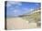 Beach, Montauk, Long Island, New York, United States of America, North America-Wendy Connett-Stretched Canvas