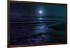 Beach Moon-Milli Villa-Framed Photo