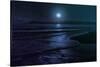 Beach Moon-Milli Villa-Stretched Canvas