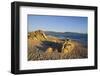 Beach near Abbartello, Corsica, France-Massimo Borchi-Framed Photographic Print