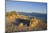 Beach near Abbartello, Corsica, France-Massimo Borchi-Mounted Photographic Print