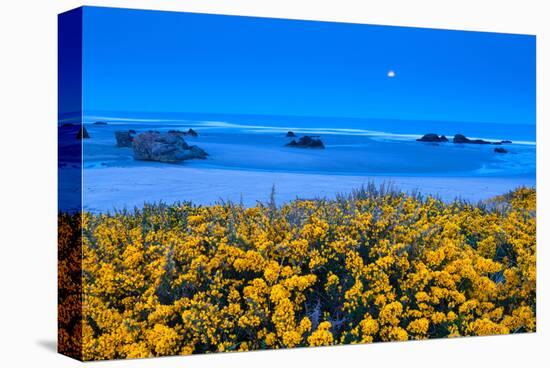 Beach near Bandon, Oregon, USA-null-Stretched Canvas