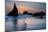 Beach near Bandon, Oregon, USA-null-Mounted Art Print