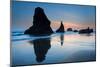 Beach near Bandon, Oregon, USA-null-Mounted Art Print