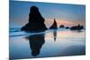 Beach near Bandon, Oregon, USA-null-Mounted Art Print