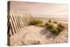 Beach Near Kitty Hawk, Outer Banks, North Carolina, United States of America, North America-Michael DeFreitas-Stretched Canvas