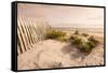 Beach Near Kitty Hawk, Outer Banks, North Carolina, United States of America, North America-Michael DeFreitas-Framed Stretched Canvas