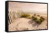 Beach Near Kitty Hawk, Outer Banks, North Carolina, United States of America, North America-Michael DeFreitas-Framed Stretched Canvas