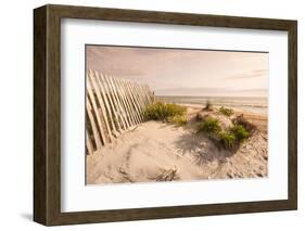 Beach Near Kitty Hawk, Outer Banks, North Carolina, United States of America, North America-Michael DeFreitas-Framed Photographic Print