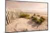 Beach Near Kitty Hawk, Outer Banks, North Carolina, United States of America, North America-Michael DeFreitas-Mounted Photographic Print