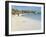 Beach Near Las Perlas, Cancun, Quintana Roo, Yucatan, Mexico, North America-Adina Tovy-Framed Photographic Print