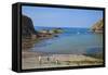 Beach Near Lower Solva, Pembrokeshire, Wales, United Kingdom, Europe-Billy Stock-Framed Stretched Canvas
