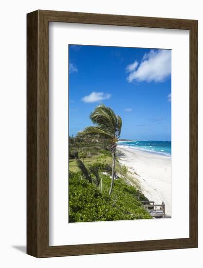 Beach near Nippers Bar, Great Guana Cay, Abaco Islands, Bahamas, West Indies, Central America-Jane Sweeney-Framed Photographic Print