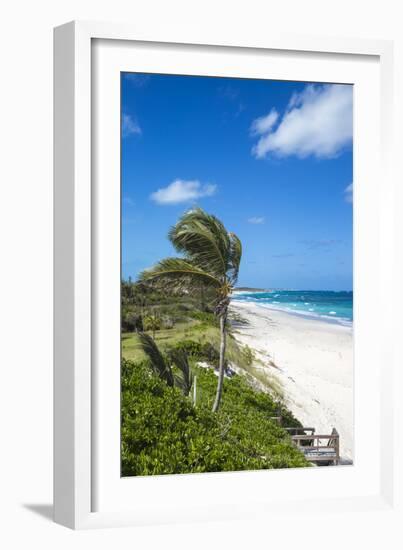 Beach near Nippers Bar, Great Guana Cay, Abaco Islands, Bahamas, West Indies, Central America-Jane Sweeney-Framed Photographic Print