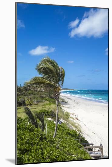 Beach near Nippers Bar, Great Guana Cay, Abaco Islands, Bahamas, West Indies, Central America-Jane Sweeney-Mounted Photographic Print