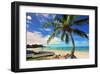 Beach near Oistins, Christ Church, Barbados, Caribbean-null-Framed Art Print