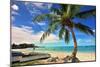 Beach near Oistins, Christ Church, Barbados, Caribbean-null-Mounted Art Print