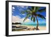 Beach near Oistins, Christ Church, Barbados, Caribbean-null-Framed Art Print