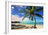 Beach near Oistins, Christ Church, Barbados, Caribbean-null-Framed Art Print